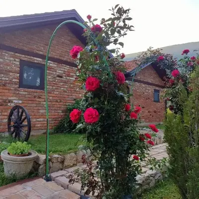 Bungalovi Narandža Ramsko jezero