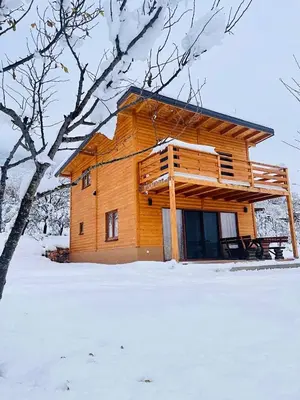 a log cabin in the snow with a tree at Vikendica Diva