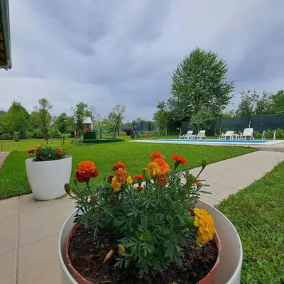 two flowers in a pot in a garden at Oaza mira BK in Bosanska Krupa
