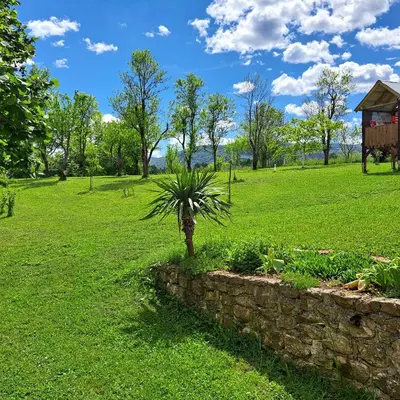 a palm tree in a field with a stone wall at Oaza mira BK in Bosanska Krupa