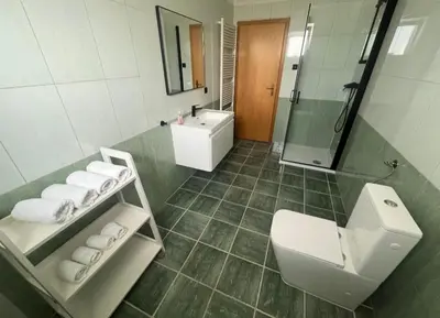 a bathroom with a toilet and a sink and a shower at Apartman Delminium in Tomislavgrad