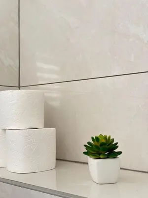 a plant sitting on a shelf next to a stack of towels at Apartman Gold Jajce in Jajce
