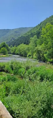 a river in a field with grass and trees at Apartman Aydan in Jajce