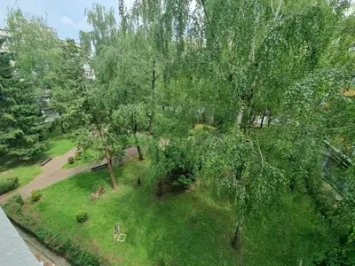 an overhead view of a park with a bench and trees at Central Spot BL in Banja Luka