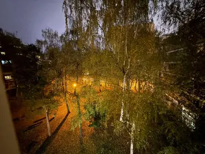 a view of a park with trees and a street light at Central Spot BL in Banja Luka
