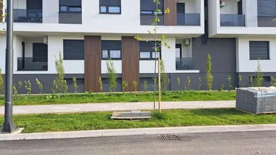 a tree in the grass in front of a building at Apartman Nina Residence Banja Luka in Banja Luka