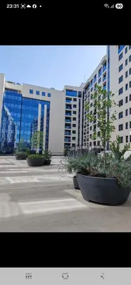 a row of potted plants in front of a building at Divna Besplatan parking in Banja Luka
