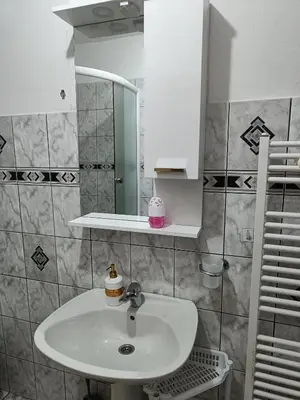 a bathroom with a sink and a mirror at Haus Viktoria near Banja Luka in Banja Luka