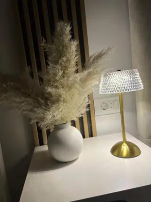 a table with a lamp and a vase with feathers at Stan na dan Ana in Prozor