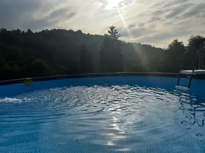 a swimming pool with a view of a forest at Vila Fina in Laktaši