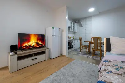 a living room with a white refrigerator and a fireplace at Apartmani Božur in Bosanska Gradiška