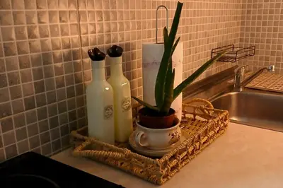 a counter with three bottles and a potted plant on it at Ćeif HOUSE in Bihać