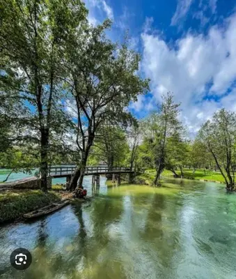 a river with trees and a bridge in the background at Insula in Otoka