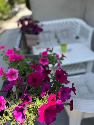 a bunch of pink flowers in front of a table at Apartmani Odmor Fojnica in Fojnica
