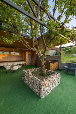 a tree in a stone planter in front of a building at Vila Natalijina Ramonda in Banja Luka
