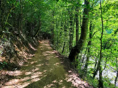 a dirt trail in a forest with trees at Vikendica Sara in Šipovo