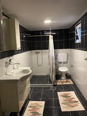 a bathroom with a sink and a shower and a toilet at Anes House in Sokolac