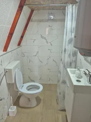 a bathroom with a toilet and a sink at Adna 's Home in Orašac