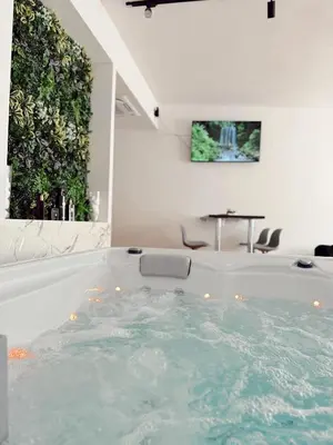 a jacuzzi tub in a room with a plant at RajRaj apartmani Gradiska in Bosanska Gradiška