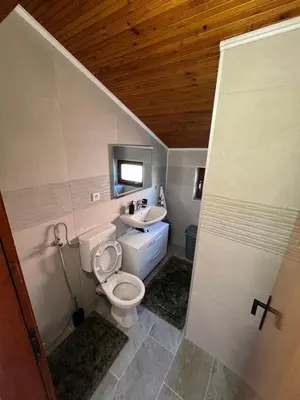 a bathroom with a toilet and a sink at Home Nur in Ivišovo Greblje