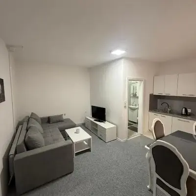 Renoviran i novo namješten Apartman
