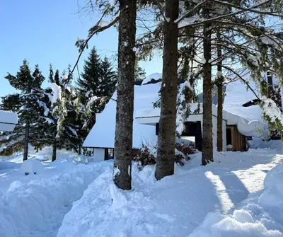 a house in the snow with trees at Mountain House LISINSKA ROSA in Brdo