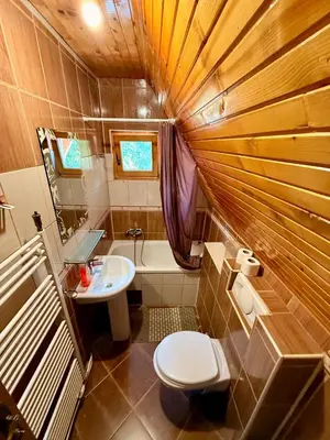 a small bathroom with a toilet and a sink at Endzi V&S in Šišava