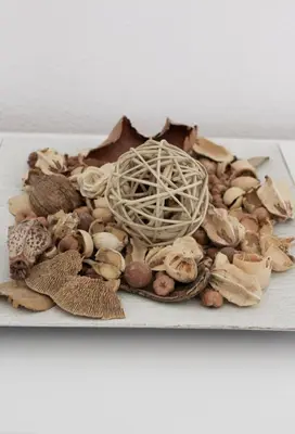 a pile of shells on a white plate at Wildlight in Bihać