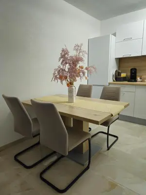 a dining room table with chairs and a vase with a plant at Apartman devet rijeka in Sanski most