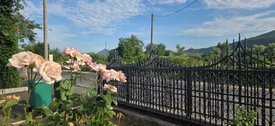 a black fence with pink flowers in front of it at Apartman Stan na dan Happy Family Bihać in Ribić