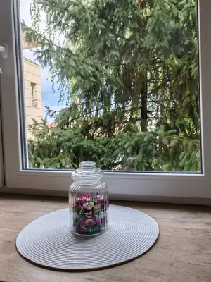 a jar filled with flowers on a plate on a window at Studio 23 in Banja Luka