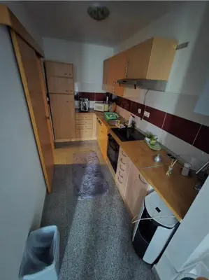 a small kitchen with wooden cabinets and a sink at Stan na Dan Cazin in Ivišovo Greblje