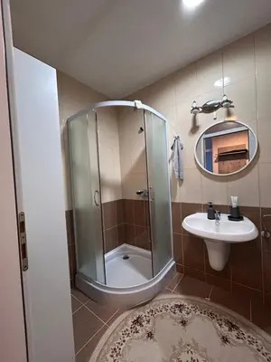 a bathroom with a shower and a sink at Apartment Alisa in Vlasic