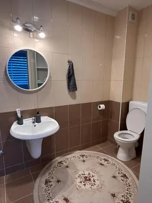 a bathroom with a sink and a toilet and a mirror at Apartment Alisa in Vlasic