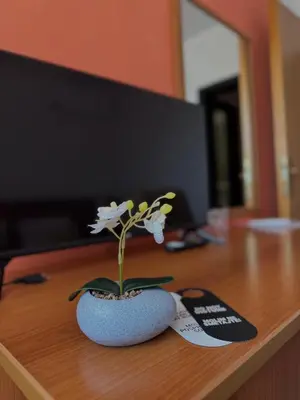 a vase with a flower in it on a desk at Hotel Petar in Kotor-Varoš