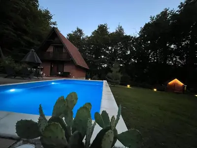 a swimming pool in front of a house with a cactus at Dunja Cabin - Forest House with Pool in Banja Luka