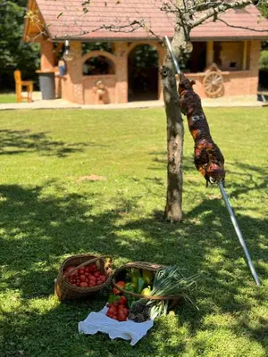 a stick with a bunch of fruits and vegetables on the grass at Rancbl in Banja Luka