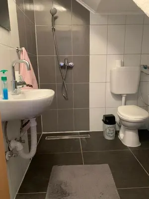 a bathroom with a toilet and a sink and a shower at Apartman UnaTesnim in Bihać