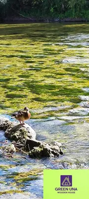 a bird sitting on a rock in the water at Green Una Wooden House in Kulen Vakuf