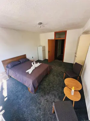 a bedroom with a bed and a table and a chair at Apartman Alinac in Cazin