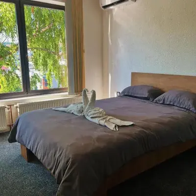 Apartman Alinac