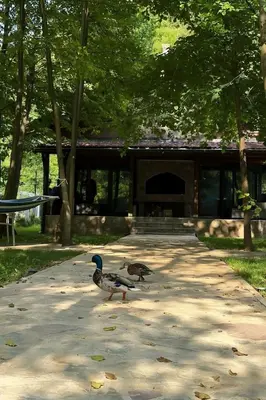 two ducks walking down a sidewalk in a park at UNA Dream in Bihać