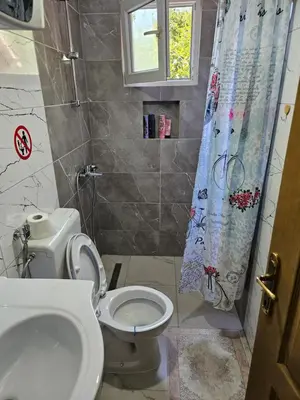 a bathroom with a toilet and a shower curtain at Villa Harmonija