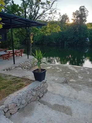 a potted plant sitting on a stone wall next to a lake at Vikendica Šapat Sane, Prijedor