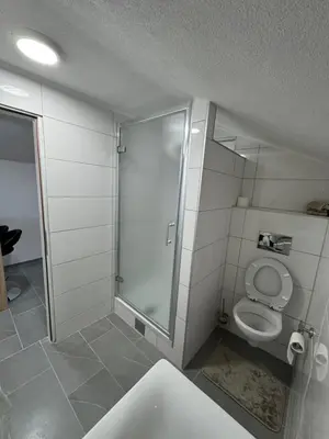 a bathroom with a shower and a toilet at Apartman Studio EMA in Orašac