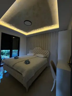 a bedroom with a large bed with a ceiling at Villa Aurea in Bihać