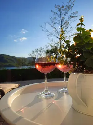 two glasses of wine sitting on top of a table at Vikendica Dijana Ramsko jezero