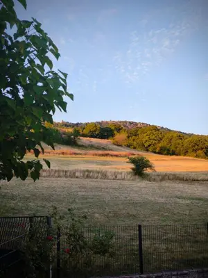 a field with a fence and trees in the background at Malta in Livno