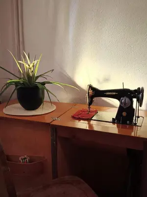 a sewing machine sitting on a wooden table with a plant at Malta in Livno