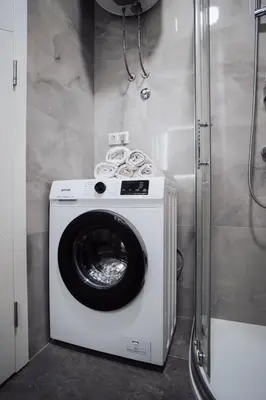 a washing machine in a bathroom with a shower at Dolce notte in Železnička Stanica Incel